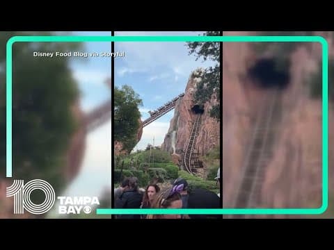 Guests stuck on Disney World's Expedition Everest for 30 minutes