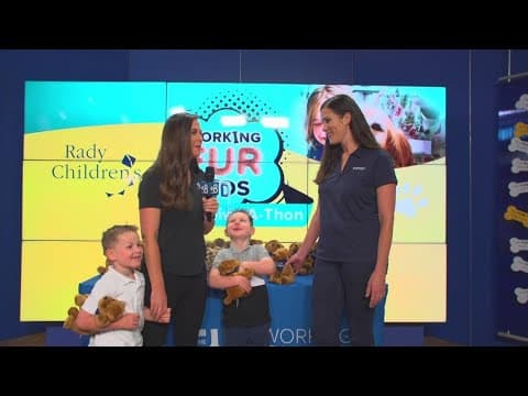 Working FUR Kids | Helping launch a Resident Canine Therapy Program at Rady Children’s in San Diego