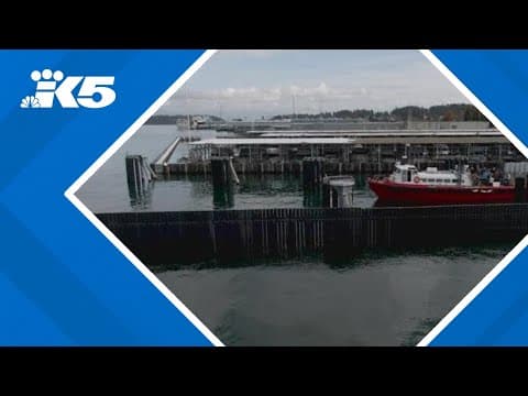 Medical emergency exposes ferry concerns on Guemes Island