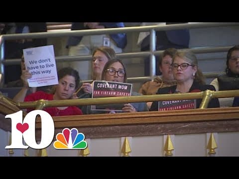 TN House passes bill letting teachers with carry permits bring handguns to school