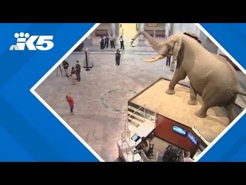 White House reviewing Smithsonian exhibits to ensure they align with Trump's vision