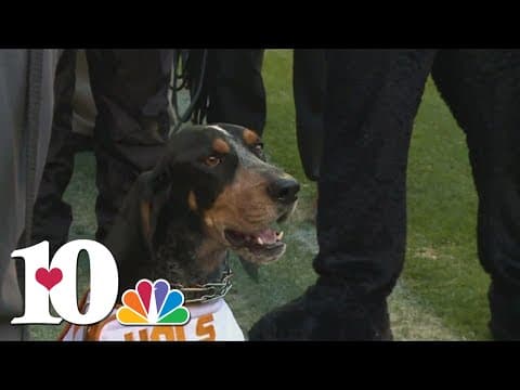 Smokey named one of the best college mascots