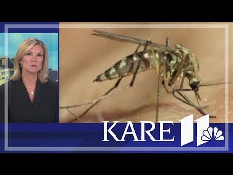 West Nile virus detected in metro mosquitos