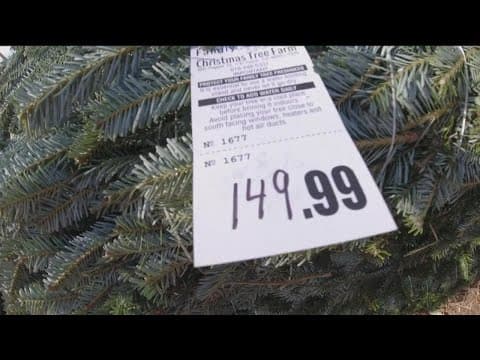 What you can expect to pay for a Christmas tree in San Diego