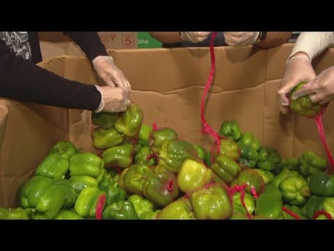 San Diego Food Bank's annual food drive underway, addressing food insecurity