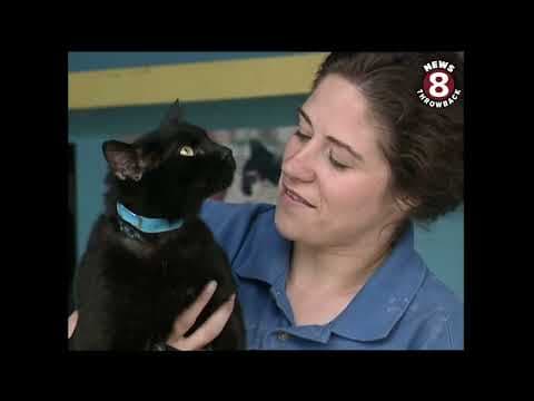 Cat training tips at the Del Mar Fair 2000