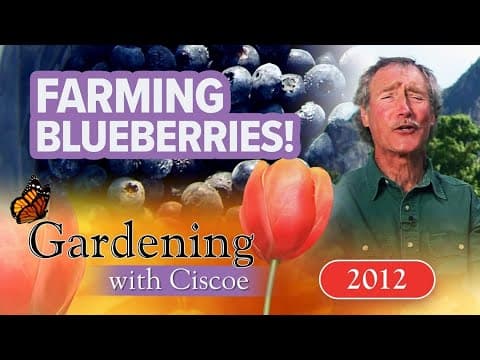 FARMING BLUEBERRIES! Pick Your Own in Sequim! | Gardening With Ciscoe | Full Episode