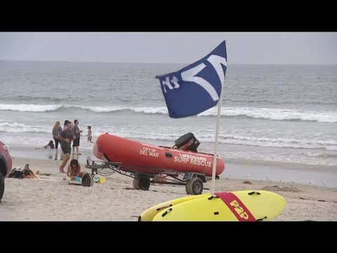 DNA test results reveal details about shark that bit San Diego swimmer