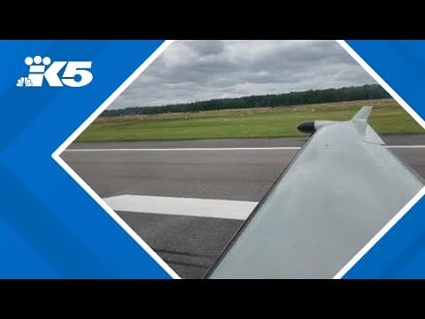 SeaPort Airlines offering service from Seattle to Portland returning next week