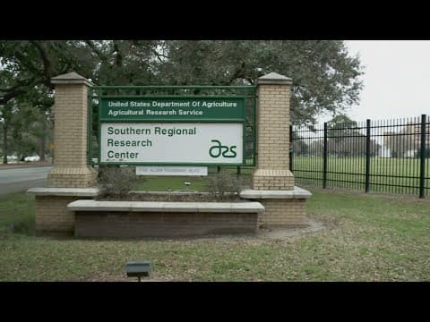 Federal government layoffs start at USDA's research center in New Orleans