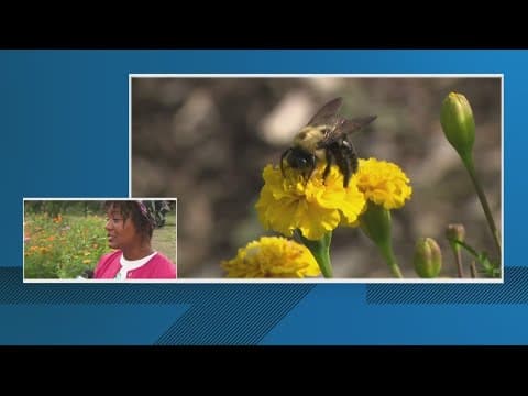 Southeast DC creates a Healthy Living Space for residents to enjoy