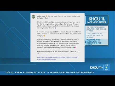 Denmark zoo asking public to donate pets to feed their animals