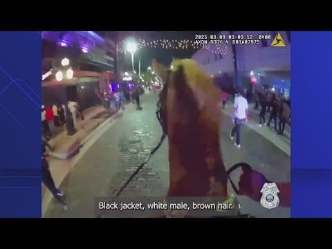 'He hit the horse': Man accused of hitting Tampa police horse in Ybor City