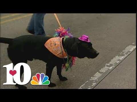 2023 Mardi Growl need to know