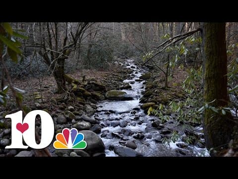 A hike on the Gatlinburg Trail in the Great Smoky Mountains | 10Explores