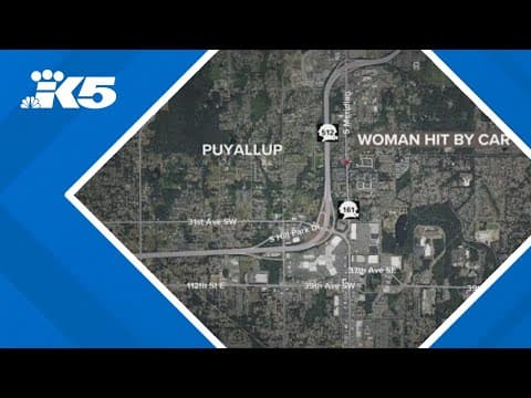 Young mother hit and killed while trying to flag down help