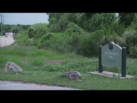 Dallas Wings proposed practice facility location greenlit by Park Board