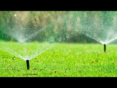 Water restrictions begin in Lewisville, Texas, to avoid water shortages