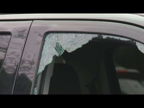 Number of vehicle thefts in New Orleans is 'disturbing'