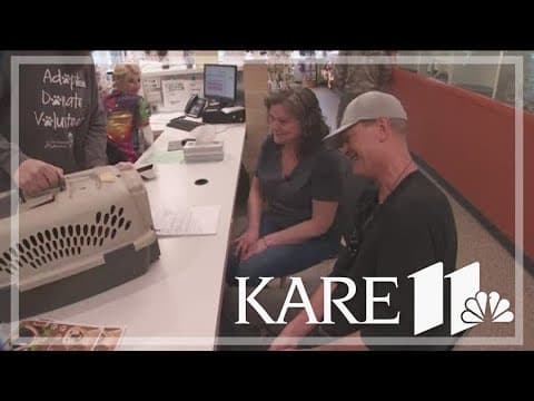 Officials remove more than 100 cats from a Crosby home; owner reconnected with pet after 7 years