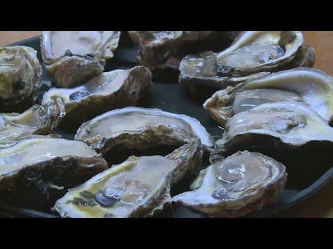Galveston health officials say man died after eating raw oysters