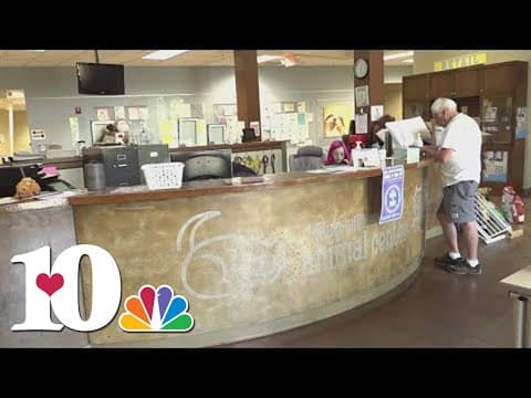 Animal control officers concerned about YWAC adopting dogs with aggressive behaviors