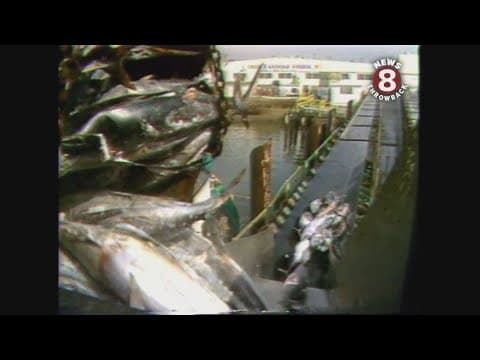 Tuna industry halting operations in San Diego in 1982