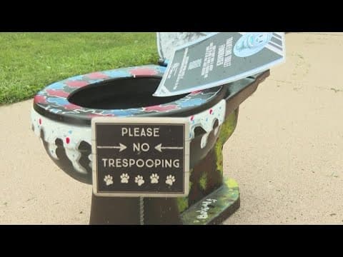 Toilets in Iowa front lawns raising funds for a good cause