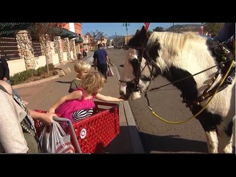 Horses 'Ace' and 'Maestro' with volunteer mounted patrol make appearance in Santee