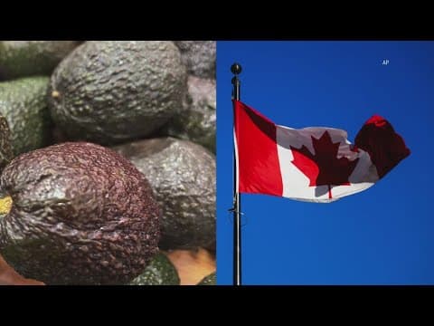 Trump's trade war among allies triggers retaliation from Canada and Mexico