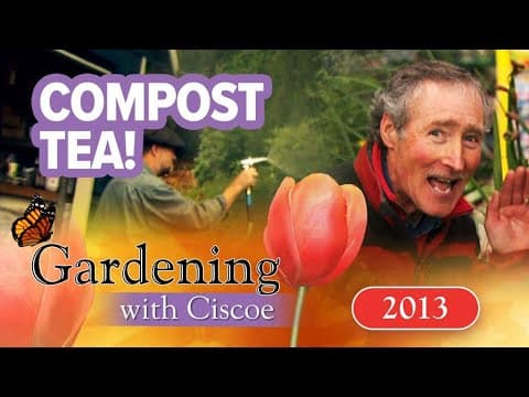 COMPOST TEA! A Brilliant Brew For Your Garden! | Gardening With Ciscoe | Full Episode