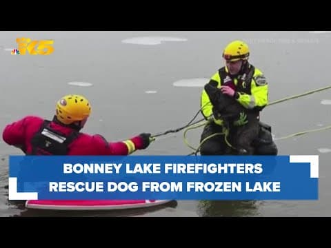 Bonney Lake firefighters rescue dog from frozen lake