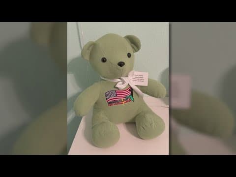Package thief steals irreplaceable memorial bear