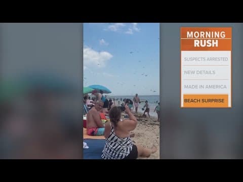 A swarm of dragonflies attacks Rhode Island beach
