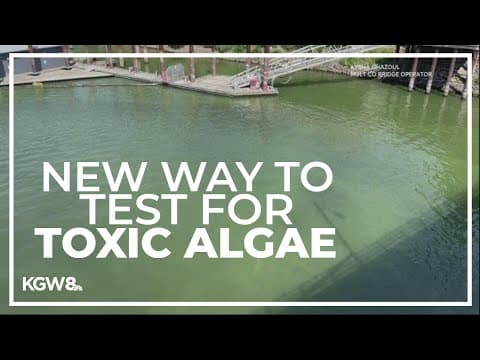 OSU study finds new way to test for toxic algae