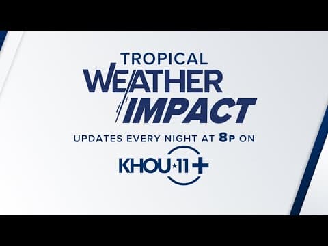 Live tropical update: Tracking Tropical Storm Fernand, wave with 40% chance of development