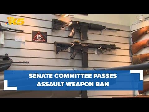 Senate committee passes bill banning sale of assault weapons in Washington