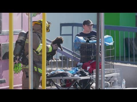 Exotic animals killed in fire at Dallas shopping center, officials say