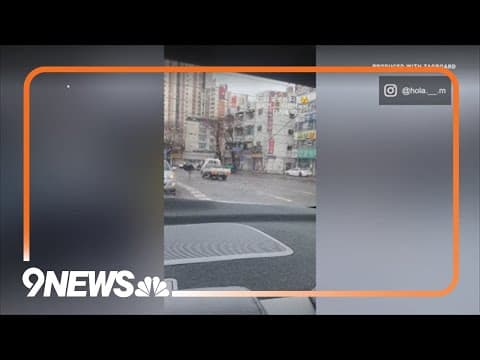 Ostrich escapes zoo and runs through traffic in South Korea