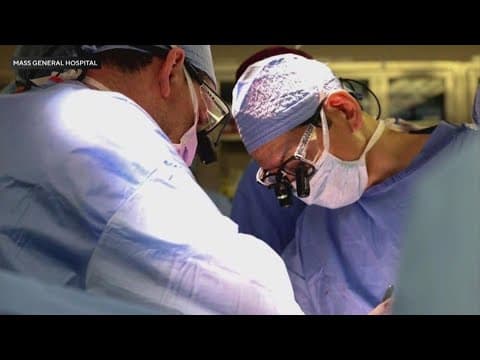 US surgeons transplant a gene-edited pig kidney into a patient for the first time