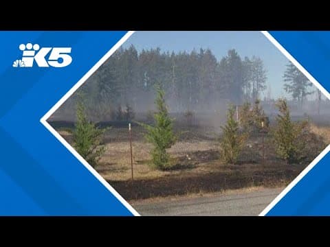 Crews battle brush fire in Thurston County