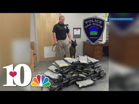 Officers find drugs during stop in Oak Ridge