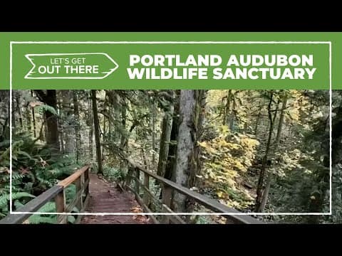 Explore trails, help rescued wildlife at Portland Audubon Wildlife Sanctuary