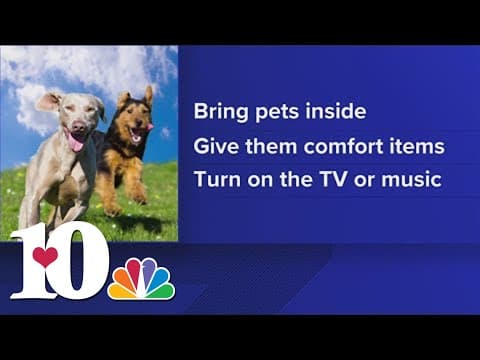 How to keep your pets safe during July 4th holiday