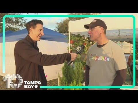 Vinoy Park transforms into 'retail central' for this year's Shopapalooza Festival