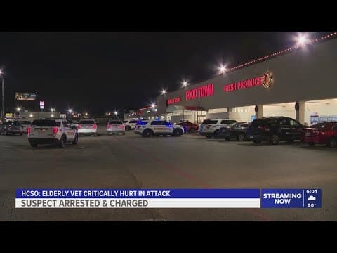 Suspect charged after 80-year-old veteran attacked outside grocery store in north Harris County