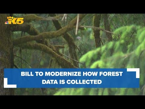 U.S. Rep Kim Schrier introduces new bill to modernize how forest data is collected