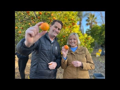 Senior Gleaners save 220,000 pounds of fruit from waste to feed San Diego's hungry