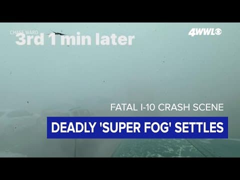 Dramatic photos show that during intense fog, a few feet can make a dramatic difference in visibilit