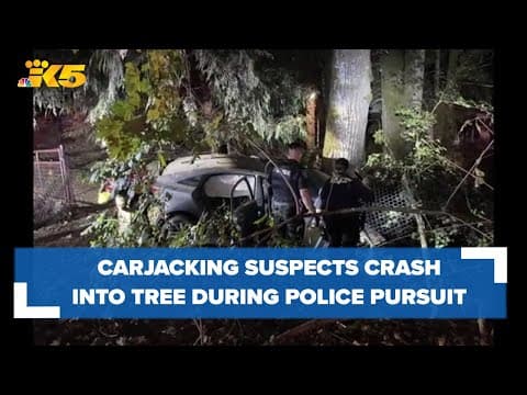 Carjacking suspects crash stolen car into tree during police pursuit